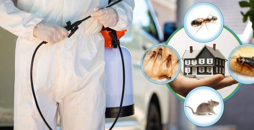 Kestel Böcek İlaçlama