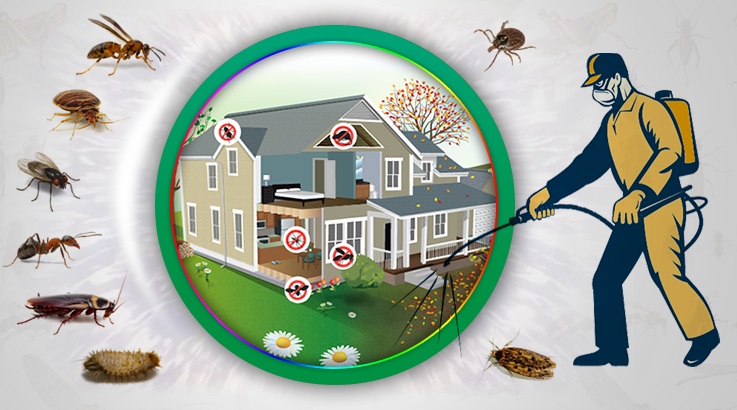 Kestel Böcek İlaçlama