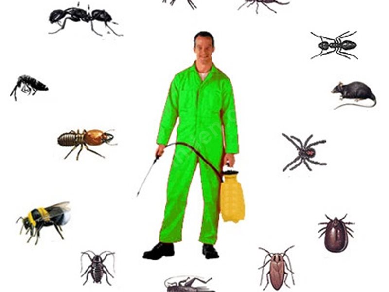 Kestel Böcek İlaçlama